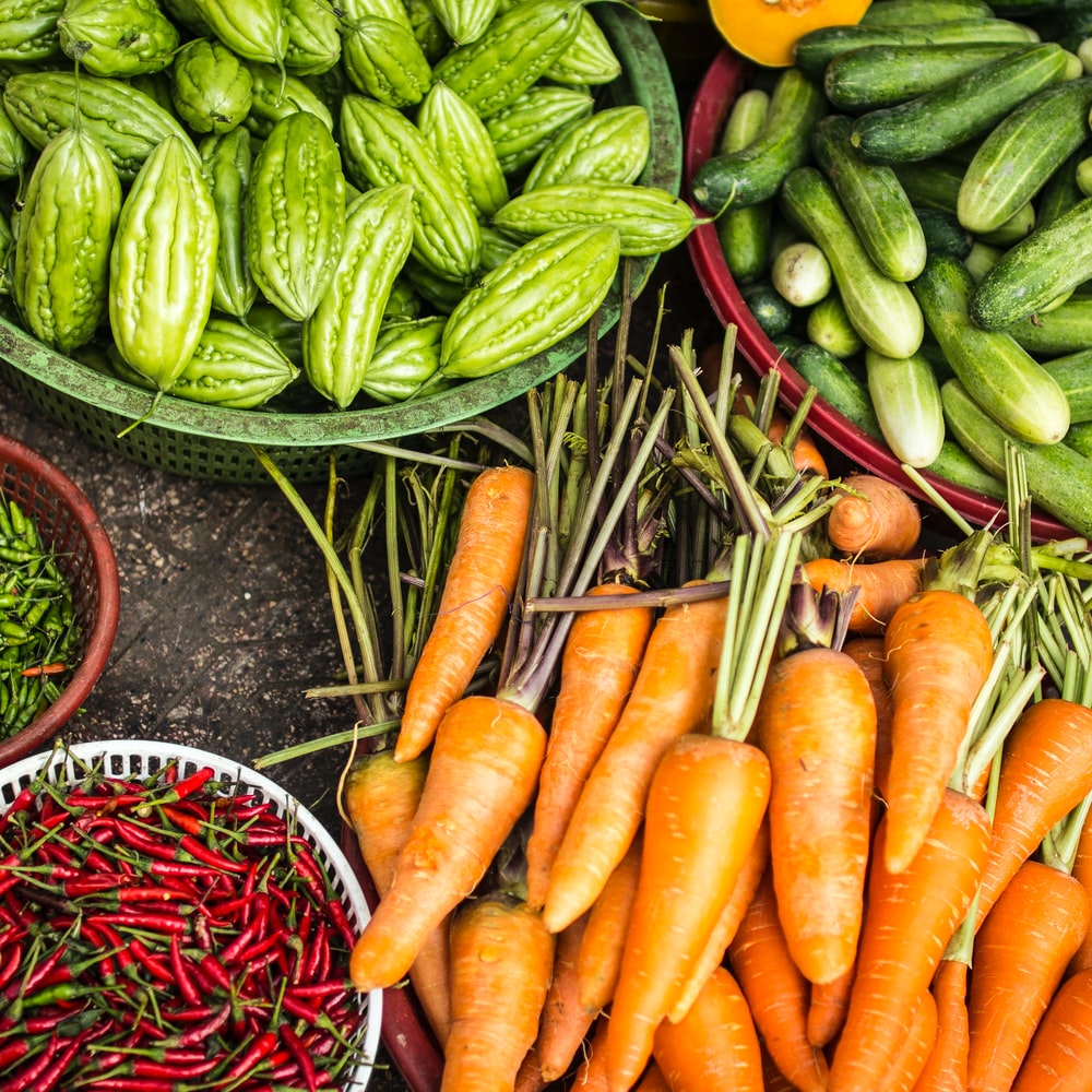 Which Word Means Physical Health?